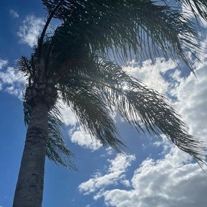 Meet your Posher, Ellen